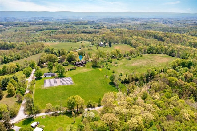 311 Derry Ridge Rd, Ligonier Twp, PA 15658 - overview of rural landscape featuring a heavily wooded area