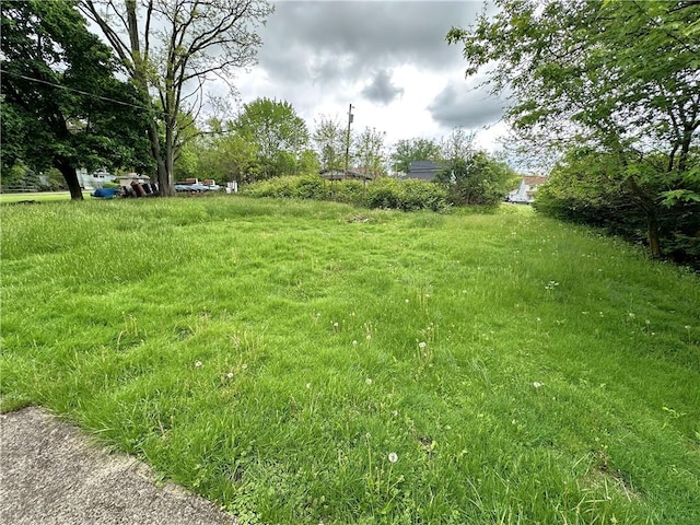305 3rd St, Unity Twp, PA 15638 - view of yard