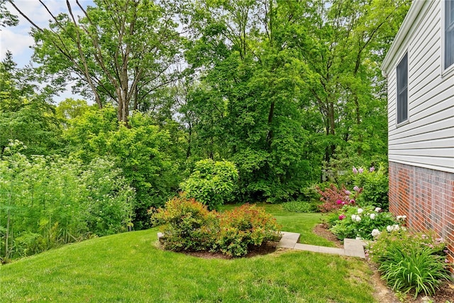 1467 Meteor Cir, Upper St Clair, PA 15241 - view of green lawn