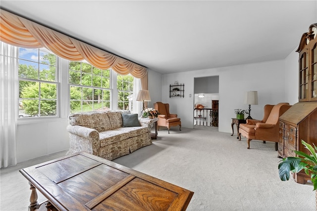 1467 Meteor Cir, Upper St Clair, PA 15241 - living room featuring carpet and healthy amount of natural light