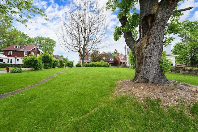 1030 N Grandview Ave, Mckeesport, PA 15132 - view of green lawn