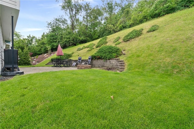 407 Pine Trees Dr, Scott Twp Sal, PA 15106 - view of grassy yard with a patio area