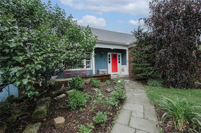 3 Coates Ln, White Twp Ind, PA 15701 - view of property hidden behind natural elements featuring covered porch and a shingled roof