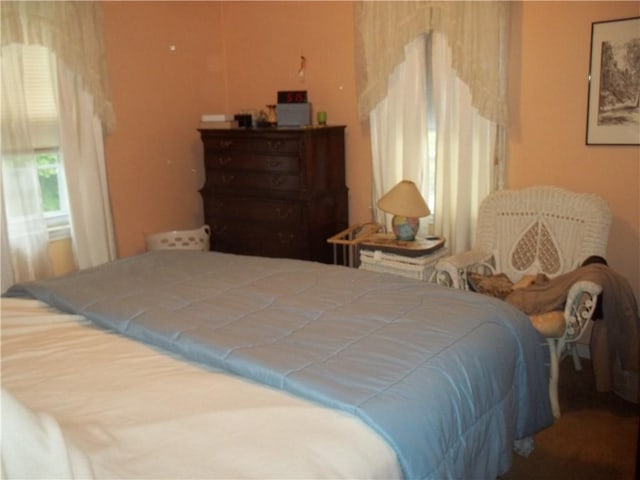 109 Mason Dr, Shaler, PA 15116 - view of bedroom