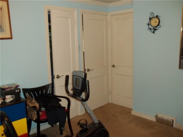 109 Mason Dr, Shaler, PA 15116 - workout room with carpet floors and crown molding
