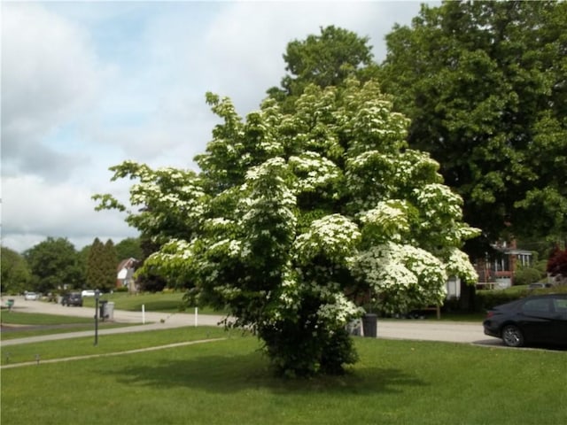 109 Mason Dr, Shaler, PA 15116 - view of home's community with a yard