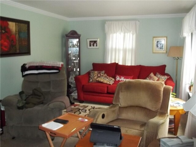 109 Mason Dr, Shaler, PA 15116 - living area with crown molding