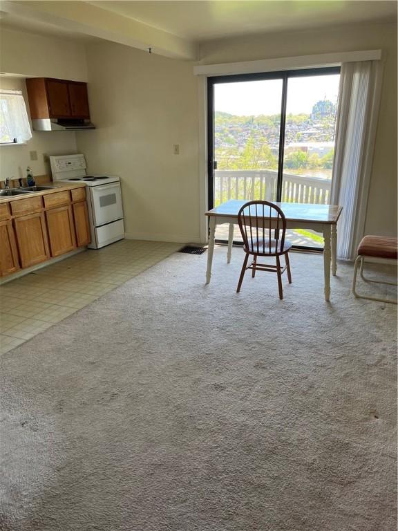 107 Shoup St, Millvale, PA 15209 - photo 13
