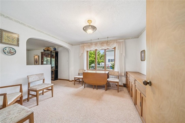 621 Kimlyn Ave, North Huntingdon, PA 15642 - living area featuring arched walkways, light colored carpet, a textured ceiling, and baseboards