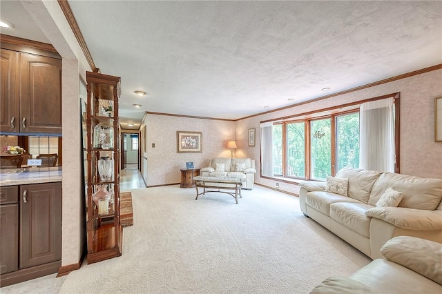 117 Glenfield Dr, Brighton Twp, PA 15009 - living area featuring crown molding, light carpet, a textured ceiling, and baseboards