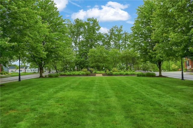 309 Trafalgar Sq, Cranberry Twp, PA 16066 - view of community featuring a lawn