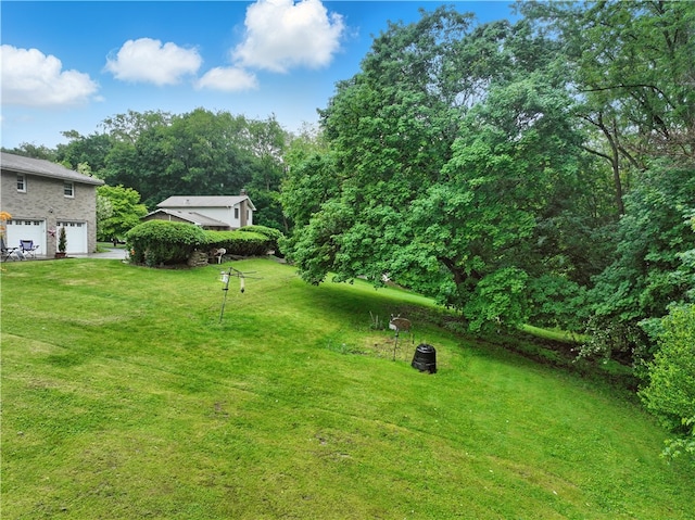 146 Tower Ln, Daugherty Twp, PA 15066 - view of grassy yard