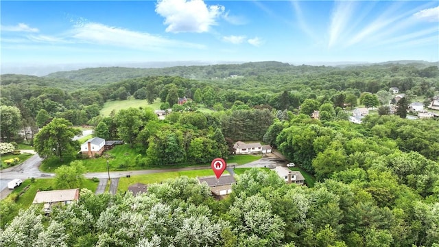 146 Tower Ln, Daugherty Twp, PA 15066 - aerial view of property's location featuring a forest