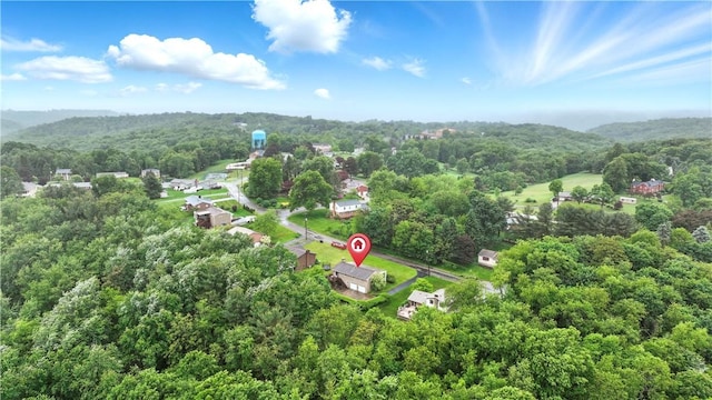 146 Tower Ln, Daugherty Twp, PA 15066 - bird's eye view of a heavily wooded area