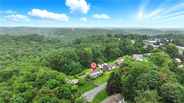 146 Tower Ln, Daugherty Twp, PA 15066 - aerial view of a heavily wooded area