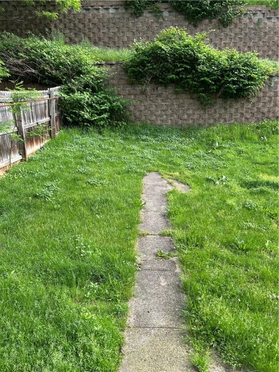 273 Albert St, Mt Washington, PA 15211 - view of yard
