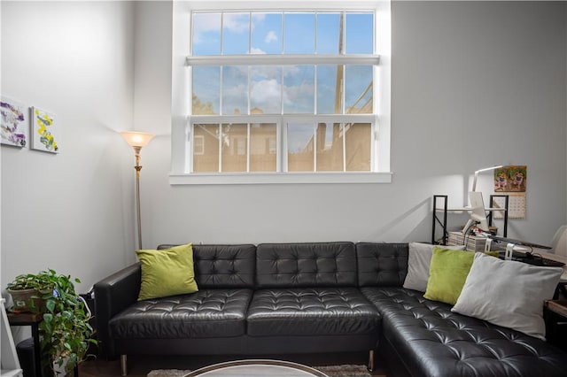622 Gross St Unit 104, Bloomfield, PA 15224 - living room with healthy amount of natural light