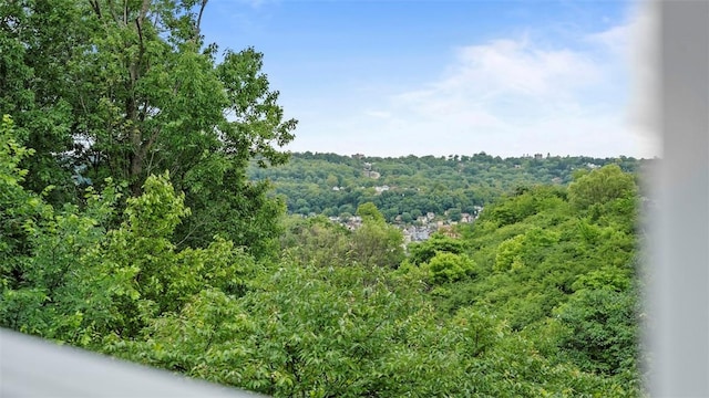 215 Mountain Dr, Carnegie, PA 15106 - mountain view featuring a forest