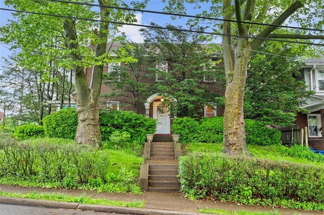 2323 Tilbury Ave, Squirrel Hill, PA 15217 - view of property hidden behind natural elements with brick siding