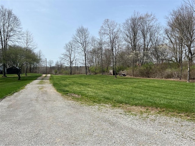 88 Fleming Rd, Pine Twp Mer, PA 16127 - view of dirt / gravel road