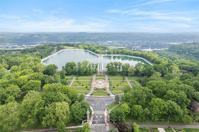 1437 Browning Rd, Highland Park, PA 15206 - bird's eye view of a large body of water