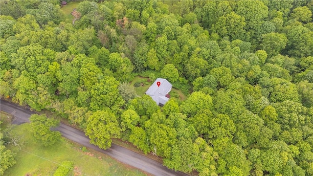 1860 Washington Rd, Washington Twp Wml, PA 15613 - view of property location featuring a forest