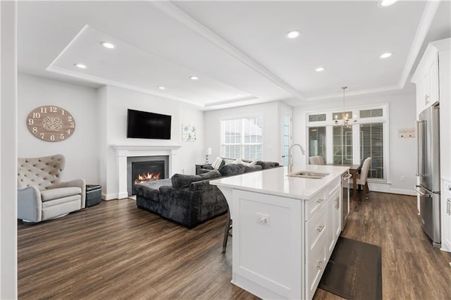 2008 Ashton Row, South Fayette, PA 15017 - kitchen featuring a raised ceiling, a sink, stainless steel appliances, dark wood finished floors, and open floor plan