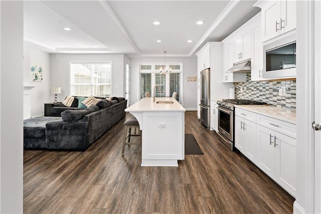 2008 Ashton Row, South Fayette, PA 15017 - kitchen featuring a tray ceiling, stainless steel appliances, a sink, under cabinet range hood, and open floor plan