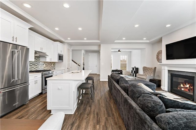 2008 Ashton Row, South Fayette, PA 15017 - kitchen featuring stainless steel appliances, a tray ceiling, open floor plan, under cabinet range hood, and a breakfast bar area