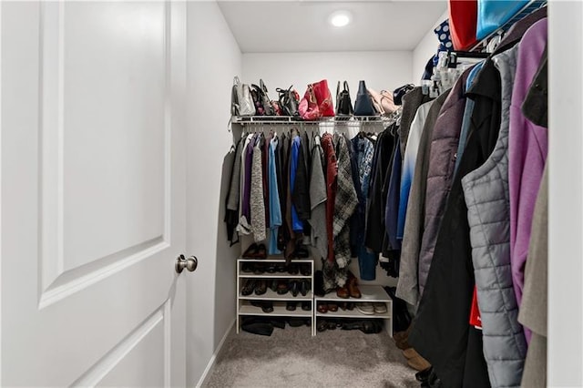 2008 Ashton Row, South Fayette, PA 15017 - walk in closet featuring carpet floors
