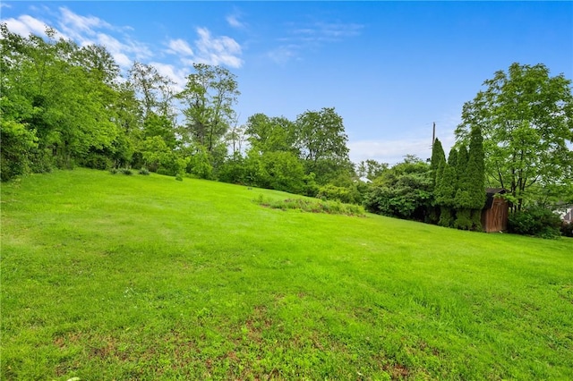 2525 Chapelwood Dr, Upper St Clair, PA 15241 - view of green lawn