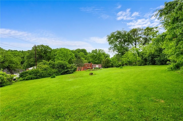 2525 Chapelwood Dr, Upper St Clair, PA 15241 - view of grassy yard featuring a forest view