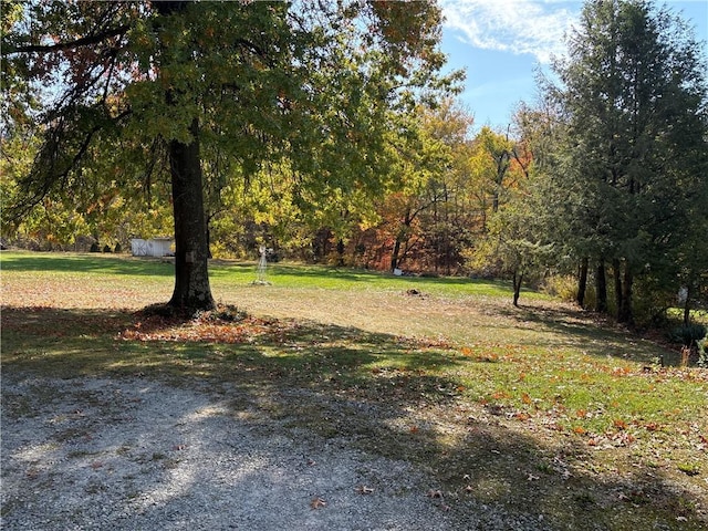 1877 Main St, Arona, PA 15617 - view of green lawn