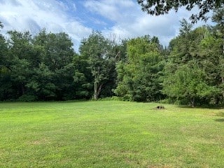 1877 Main St, Arona, PA 15617 - photo 11