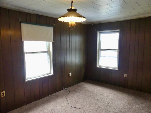 1112 Wade St, Aliquippa, PA 15001 - spare room featuring light colored carpet and wooden walls