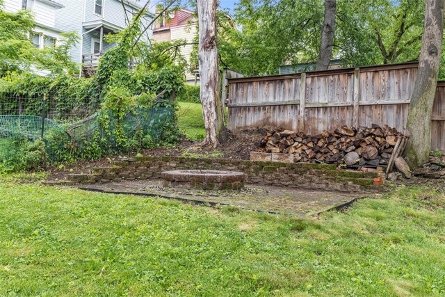 44 Pasadena St, Mt Washington, PA 15211 - view of yard