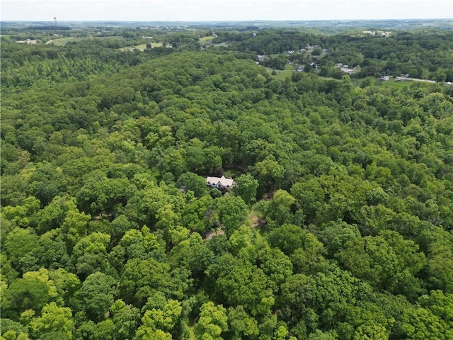 851 Chateau Dr, Franklin Twp, PA 16117 - photo 47