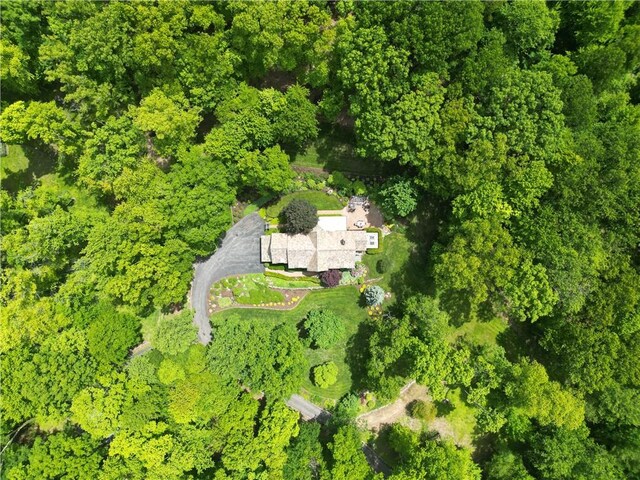 851 Chateau Dr, Franklin Twp, PA 16117 - photo 46