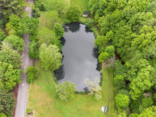 428 Jefferson School Rd, Cook Twp, PA 15658 - aerial view of a large body of water