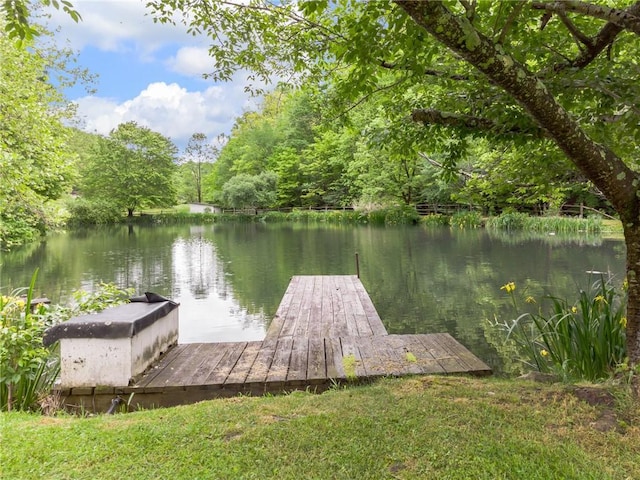428 Jefferson School Rd, Cook Twp, PA 15658 - dock with a water view and a wooded view