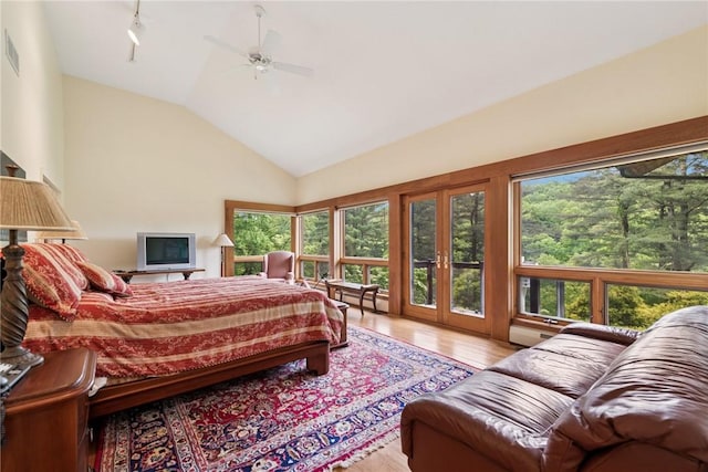 428 Jefferson School Rd, Cook Twp, PA 15658 - bedroom with lofted ceiling, wood finished floors, rail lighting, and a ceiling fan