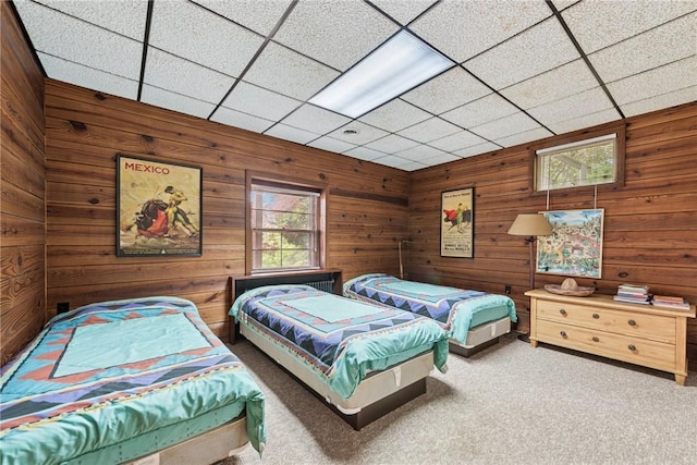 428 Jefferson School Rd, Cook Twp, PA 15658 - bedroom with carpet floors and wooden walls
