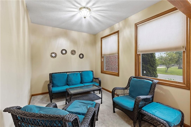 704 Park Ave, Rostraver, PA 15012 - living area with carpet and baseboards