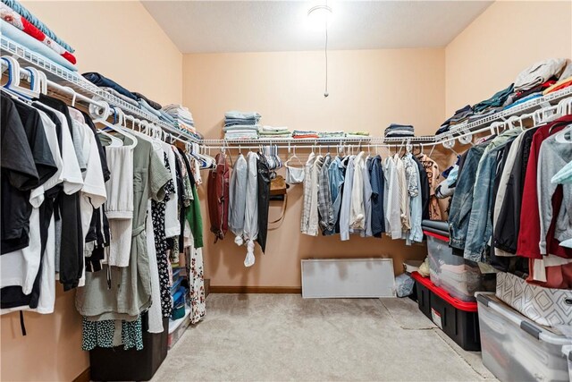 704 Park Ave, Rostraver, PA 15012 - spacious closet with carpet
