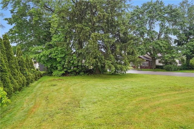 2735 20th Street Ext, Patterson Twp, PA 15010 - view of grassy yard with driveway