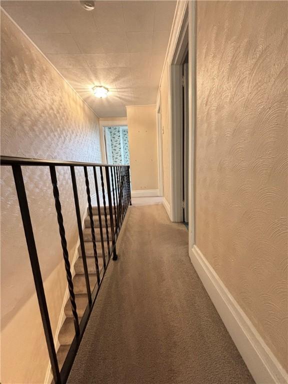 7027 Blackhawk St, Swissvale, PA 15218 - hallway with carpet floors, an upstairs landing, and baseboards