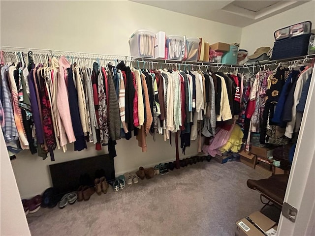 127 Benton, Canonsburg, PA 15317 - spacious closet with carpet flooring