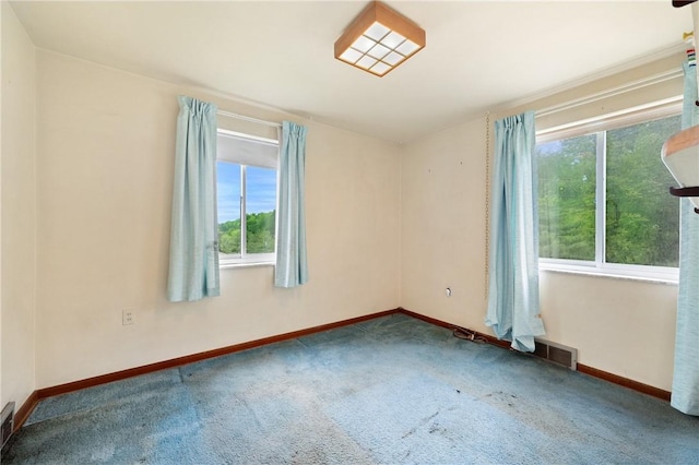 173 Mcintyre Rd, Ross Twp, PA 15237 - carpeted spare room with plenty of natural light and baseboards