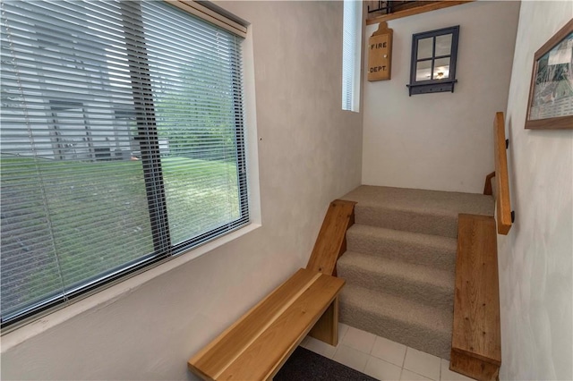 W1 Sunridge Dr, Seven Springs Resort, PA 15622 - stairs featuring healthy amount of natural light