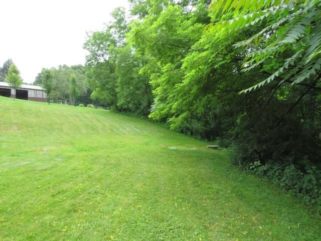 280 Evans Rd, Jackson Twp, PA 16063 - view of green lawn